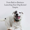 From Bark to Business: Launching Your Dog Kennel Empire
