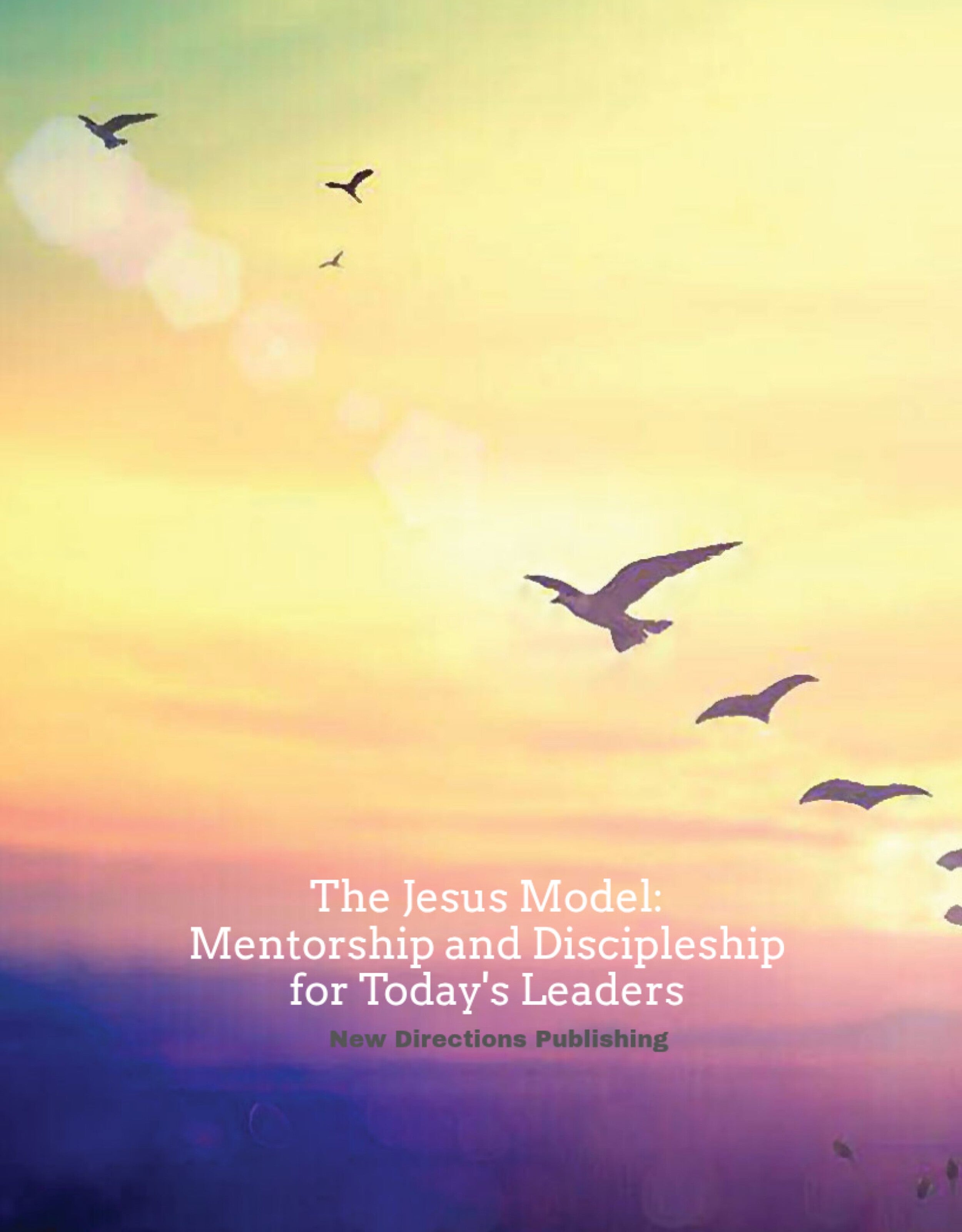The Jesus Model: Mentorship and Discipleship for Today's Leaders